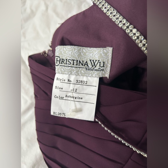 Christina Wu Deep Purple Maxi Dress - Picture 6 of 8